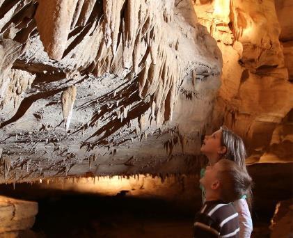We invite you to discover Cumberland Caverns!