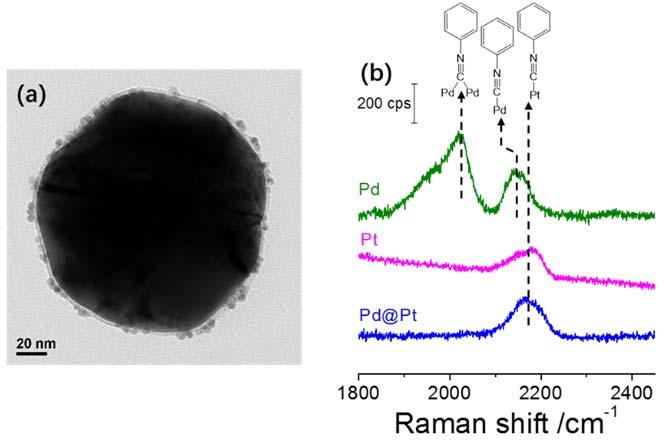 Figure R7. (a) TEM image of Pd@Pt-on-SHINs. (b) SHINERS-satellite spectra of phenyl isocyanide adsorbed on Pd, Pt and Pd@Pt core-shell nanocatalysts.