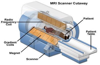 MRI Basic Layout The magnetic field of an MRI machine is typically 3