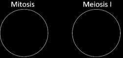 Complete this table to describe some important differences between mitosis and meiosis.
