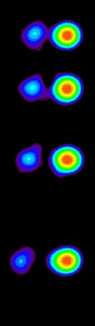 Relativistic effects in jets Energy spectrum Doppler boosting Doppler factor