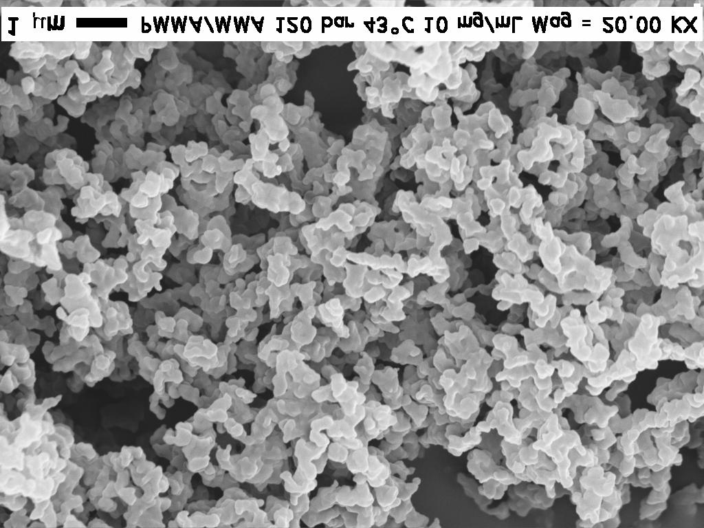Figure 2. SEM images of PMMA powders generated by SAS precipitation at 43 C, 12.0 MPa, 1.0 wt% solution of PMMA in MMA.