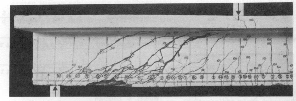 6 Luc Taerwe Fig. 3. Shear failure of a concrete beam, without stirrups with T-shaped crosssection Fig. 4.