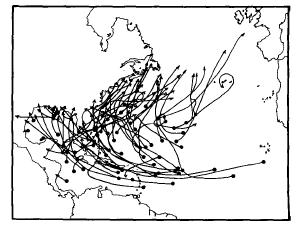 Composite of tropical cyclone tracks during 14 moderate to strong El Niño