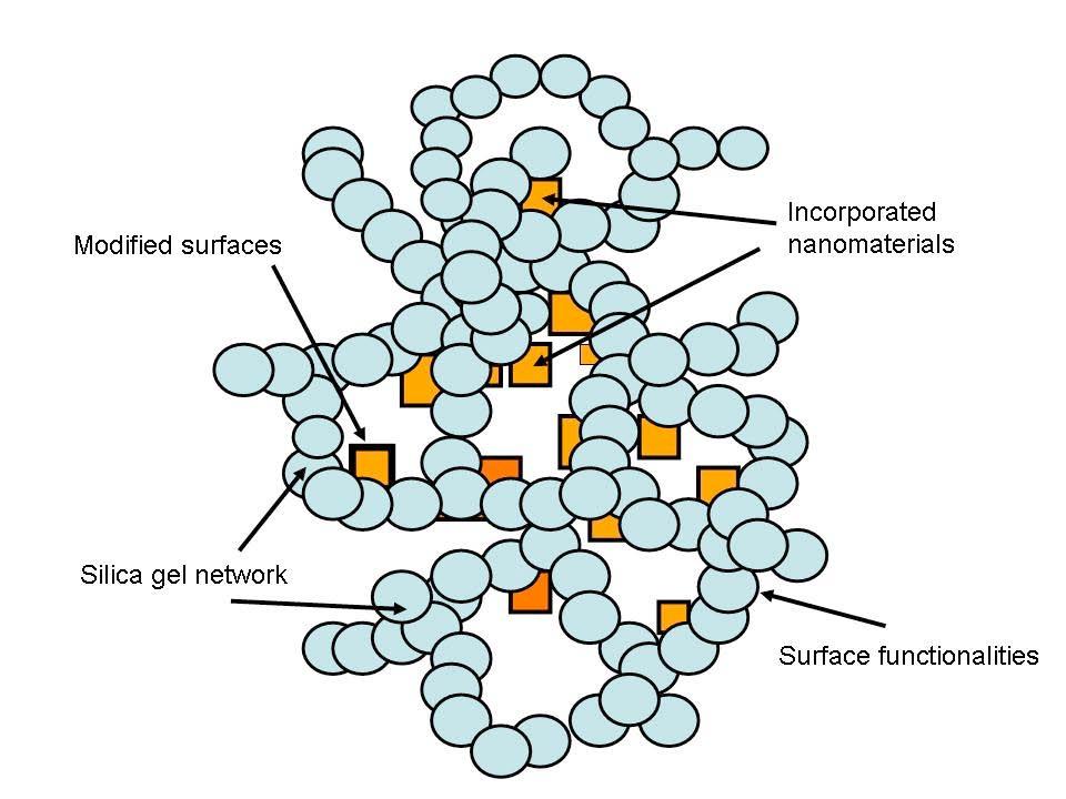 creating new functional properties. Fig.1 shows a Typical sol-gel network structure showing incorporated functional materials.