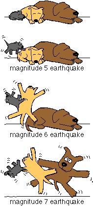 Earth s Motion Fact: 10 magnitude 7 earthquakes every year, and 100 magnitude 6 earthquakes