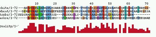 Multiple Sequence Alignment (MSA) Problem: Given a set of protein sequences, and an objective function, determine