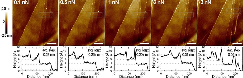 PeakForce tapping mode AFM adhesion images of graphene using SWCNT-modified tip showing the change in measured adhesion with peak Force set point (as indicated in each AFM image).