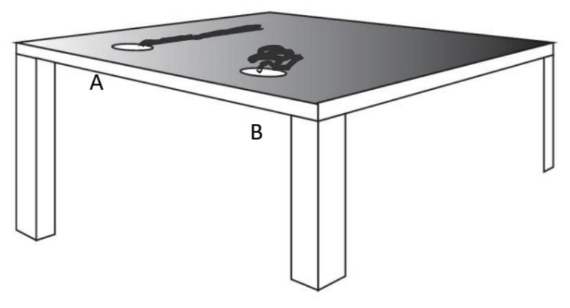 1. Consider two uniform ropes (A and B), each of length L, and each of which can pass through holes in a table. A small piece of each rope extends through each of the holes.