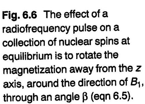 36 The simplest NMR experiment involves applying a single, short, intense burst of monochromatic rf radiation to a sample, previously at thermal equilibrium.