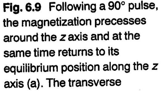 39 There are two distinct relaxation processes.
