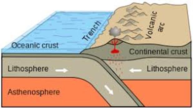 Convergent Boundaries Oceanic-Continental Oceanic crust ALWAYS subducts under continental crust (more dense)