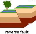 How is a convection current