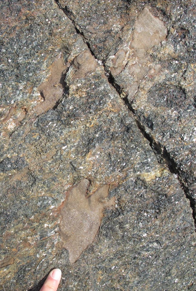 Northern LM-UI Three segments over ~7 km distance Sills emplaced in garnet-biotitepsammite Rip-up clasts embedded in base of intrusion Magmatic internal layering from
