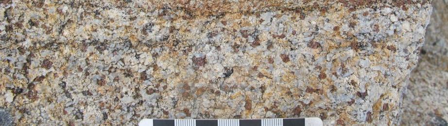Bedrock Field Observations Western Rock Units: Supracrustal strata - psammite to pelite - record granulite-facies metamorphism Opx±Cpx±Mag felsic intrusives - tonalite to