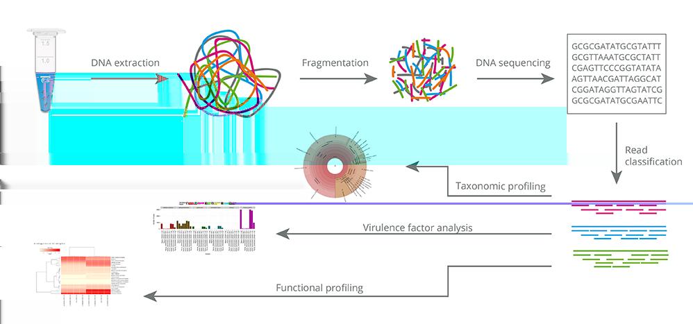 Metagenomic analysis workflow Functional profiling Protein domain identification of MG/MT data