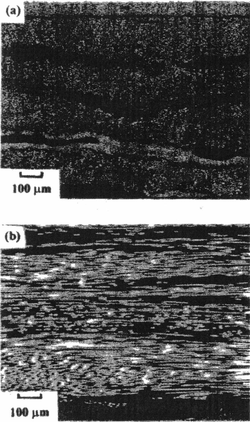 266 M. Segiet and D. D. L. Chung Figure 4. Optical microscope photograph of composite with as-received carbon filament interlayer. (a) Section perpendicular to fibers. (b) Section parallel to fibers.