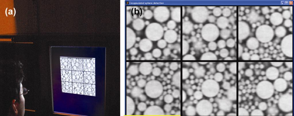 Figure 4. (a) Observer performing a 9AFC test in a arkene reaing room. (b) Nine images were shown on a 3x3 gri as isplaye by Matlab-base OPTEx software in a ranomize orer.