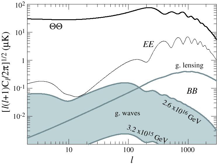 The Science Hu, Hedman, Zaldarriga, 2002 Reionization bump X300 fainter! Temperature spectrum E-mode polarization (no parity) from density fluctuations Inflation?