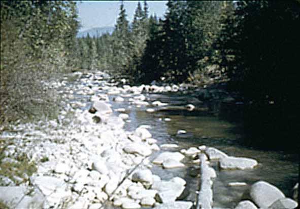 41 Boundary Creek