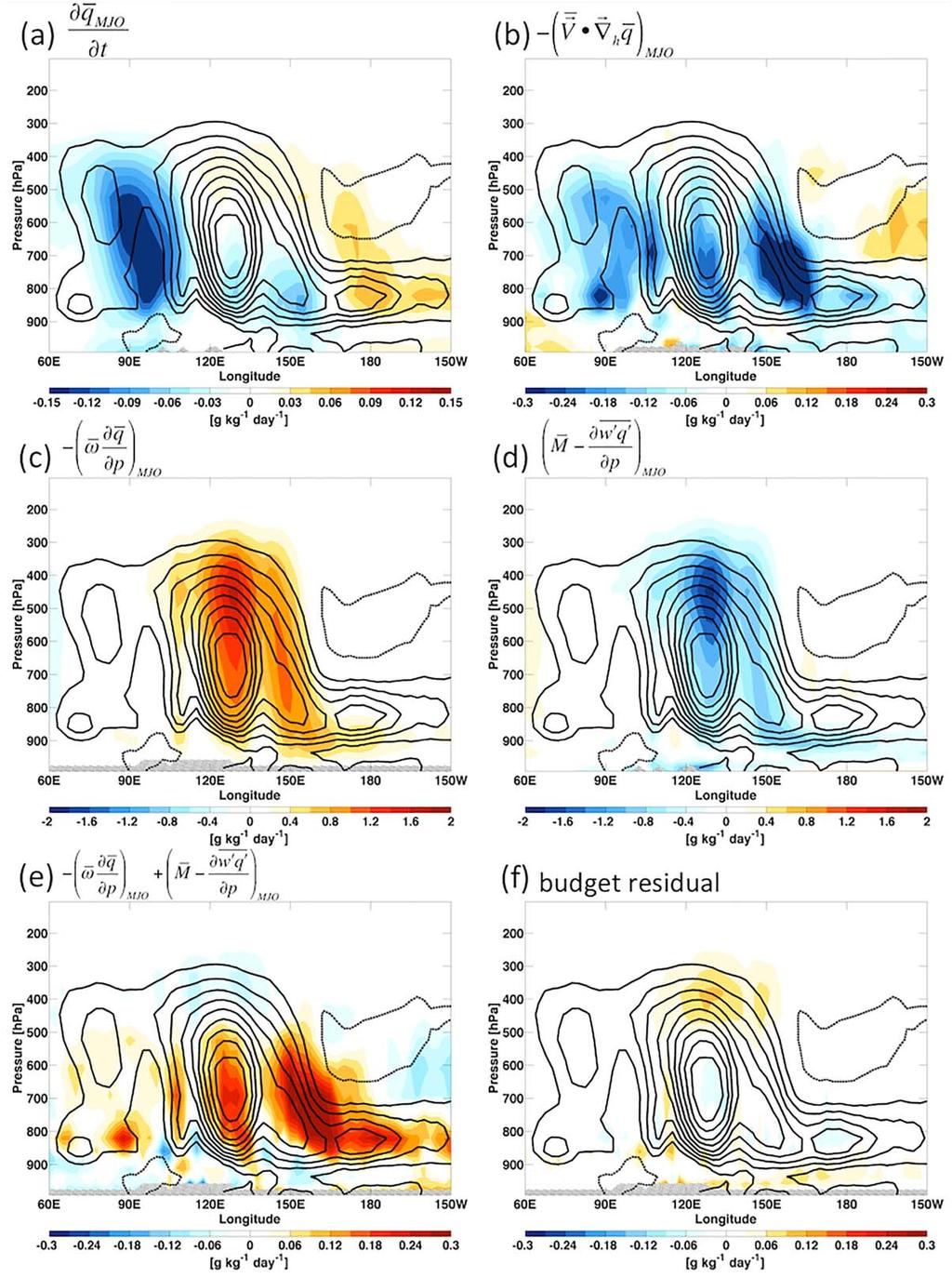 Figure 3. Longitude-height sections of latitudinally averaged (5 N-5 S) composite intraseasonal moisture budget terms (shading).