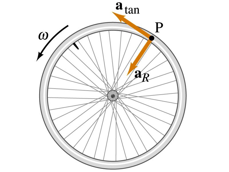 Circular/rotational motion: constant angular acceleration.