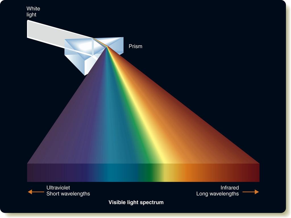 Wavelengths and Colors Different colors of