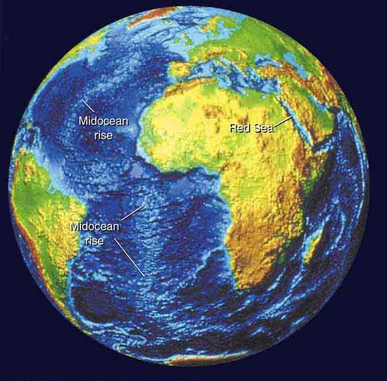 Tectonic Plates Earth s crust is composed of several distinct