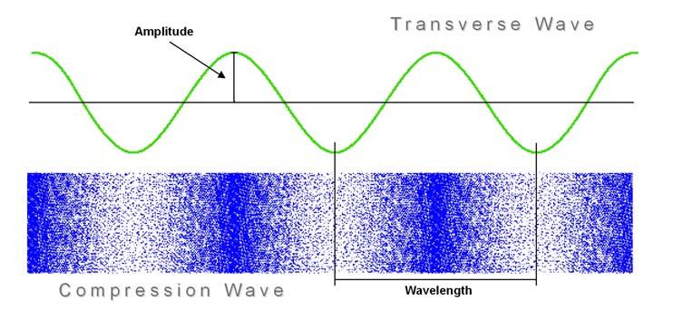 23 March 2006 page 2 Figure 1: Compression and Transverse Waves In reference to sound, amplitude is what we perceive as the sound pressure level or how loud a source is.