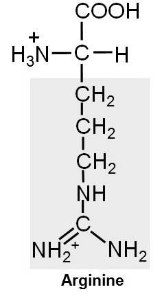 Amino acids are example of weak acid which contain more than one dissociate group. Examples: (1) Alanine: -Contain COOH (pka 1 = 2.34) and NH 3+ (pka 2 = 9.69) groups (it has one pi value =6.010).