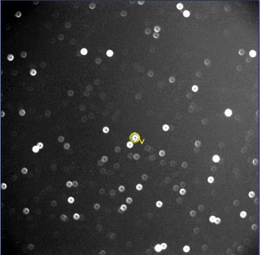 3 The SkyMap image (left) and observatory image (right) The stars in the observatory image in Figure 4.1.