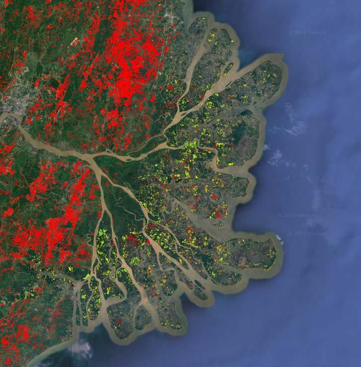 Figure S8. Example of the deforestation analysis from East Kalimantan, Indonesia, focused on the Mahakam River Delta.