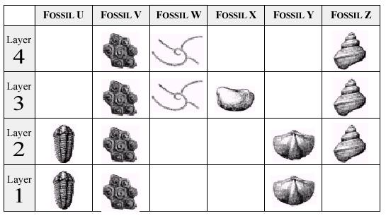 10. The fossil record supports the principle of evolution by demonstrating that plant and animal species a) change over geologic time b) are the same all over the world c) remain the same until