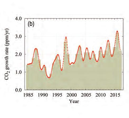 Greenhouse gas levels reach new record CO 2 CH 4 N 2 O