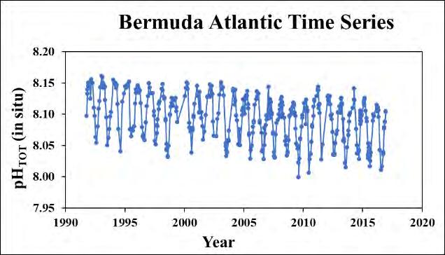 Ocean Acidification Increases Open-ocean sources over the last 30 years have shown a