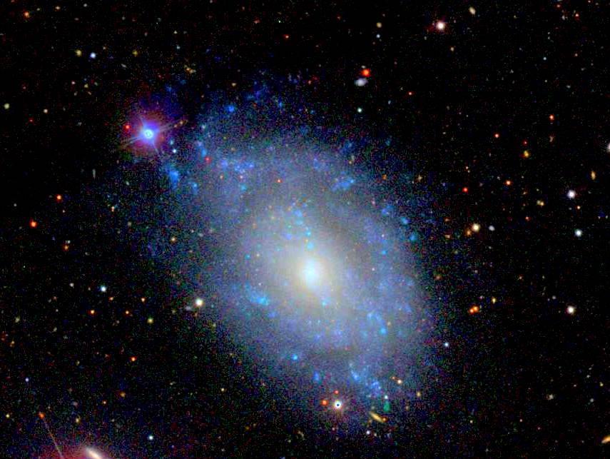 NGC 5585 X-1