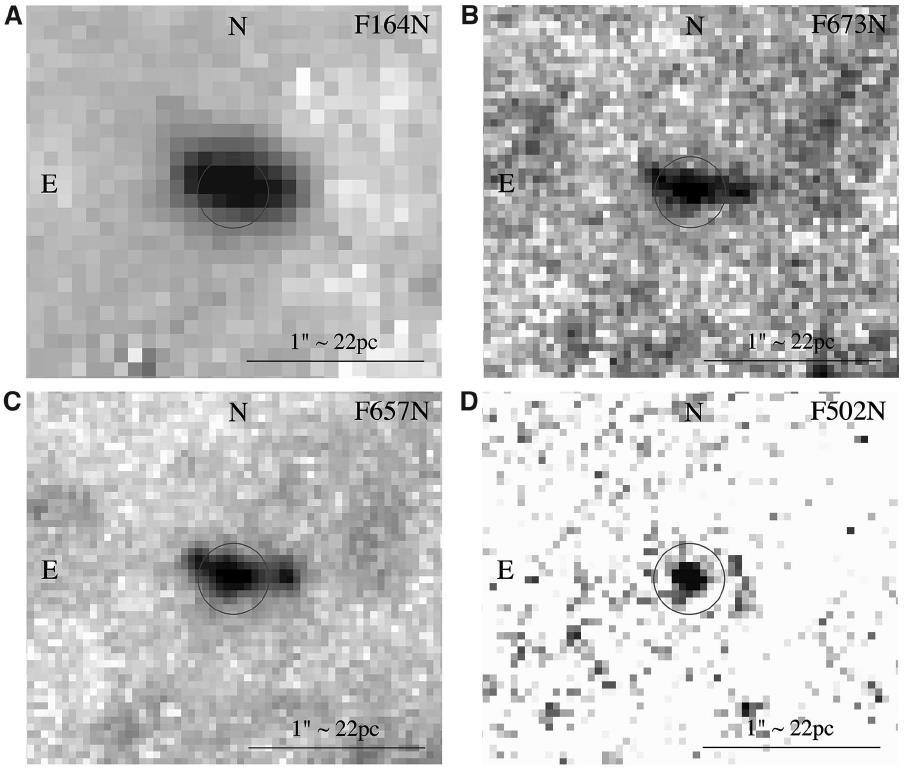 (Soria et al 2014, Science) M83 MQ1: jet