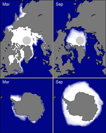Contrasting the Hemispheres Arctic Ocean surrounded by land (thicker ice).