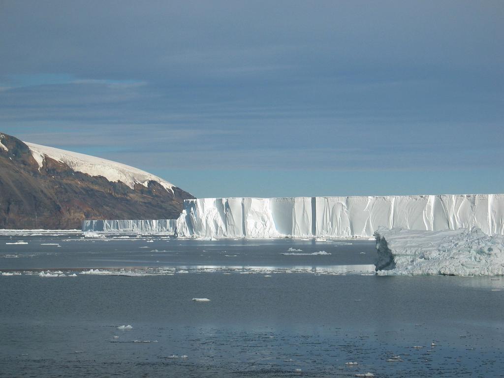 Coastal Antarctic polynyas: A coupled process