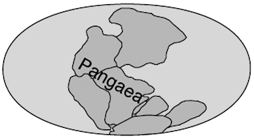 8 5. In 115, a famous scientist suggested that the Earth s continents were once joined together as shown below. (i) From the box below, choose the name of the scientist who suggested this idea.
