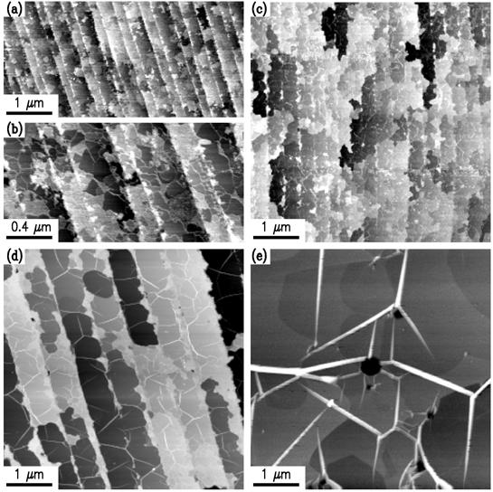 FIG. 1. AFM images of graphene formed on C-face 6H-SiC by annealing at temperatures of (and forming graphene thicknesses of): (a) and (b) 1120 C (1.