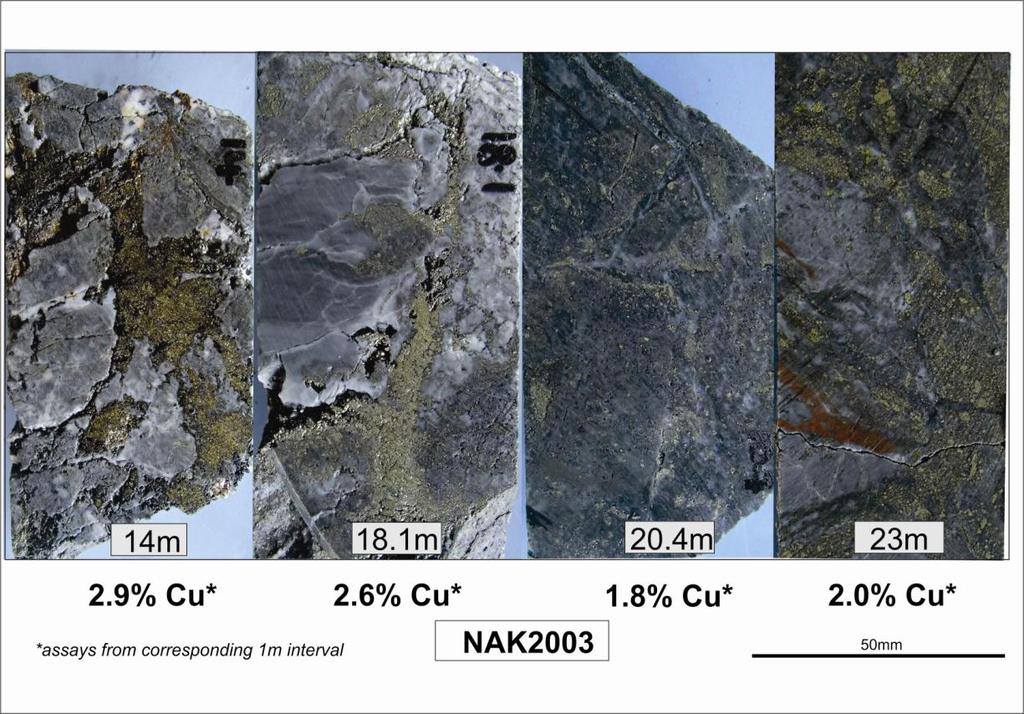 Mineralisation in the primary zone at the Nakru-2 prospect is dominated by disseminated pyrite and chalcopyrite (Figure 6).