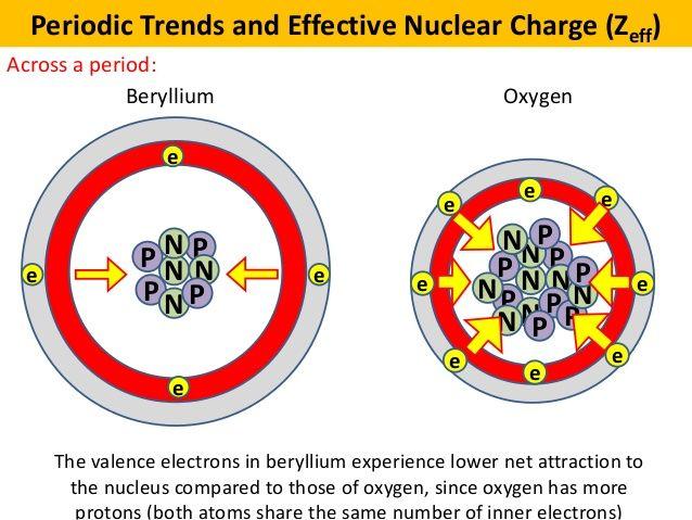 Nuclear Charge Negatively charged electrons are attracted to the positively charged nucleus Related to the number of
