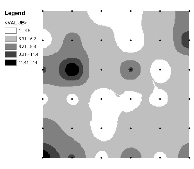 Spatial pattern in Predator abundance.