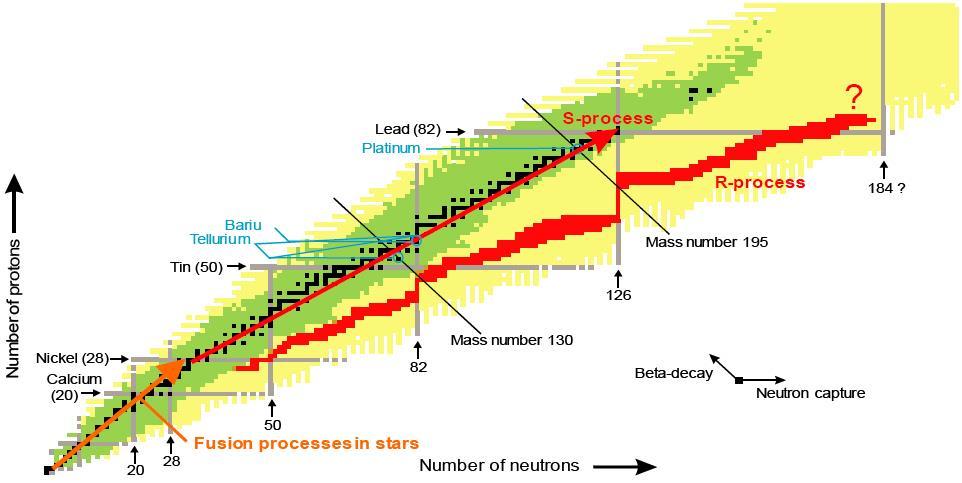 of the Elements Predicted paths of the R- and S-processes on the chart of nuclides.
