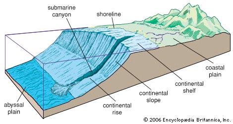 Continental margins are the submerged edges of the continents and consist of massive wedges of sediment eroded from the land and deposited