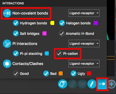 In the Workspace Configuration Toolbar, right-click Interactions The Interactions panel opens 2. Turn on Non-covalent bonds 3.