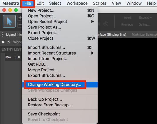 1. Creating Projects and Importing Structures At the start of the session, change the file path to your chosen Working Directory in Maestro to make file navigation easier.