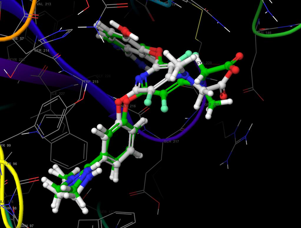 The Constraints tab of the Ligand Docking panel. Figure 6-5. Binding pose of the docked cognate ligand (green) compared to the crystal (gray). 9.