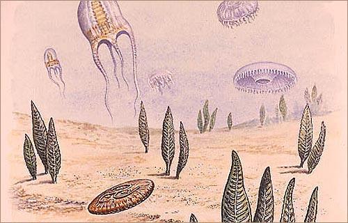 Precambrian Early life was dominated by soft bodied animals.